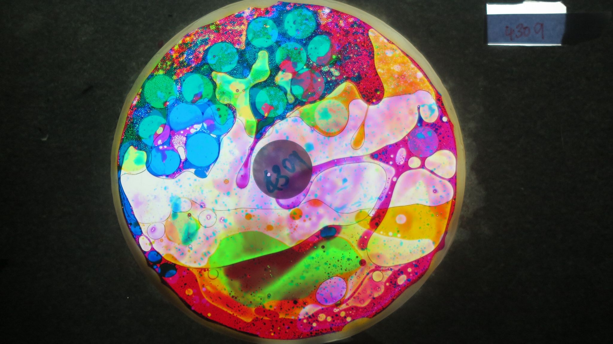 BV4309 bubble vision oil wheel